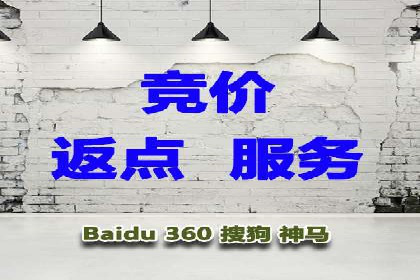 网络推广策略：竞价广告的实践案例
